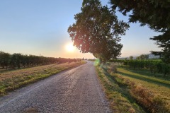 2021-09-06-Gravelbike-Tour-Gardasee-17