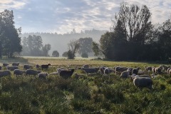 2021-09-18-Gravelbike-Tour-Muenchen-Chiemsee-037