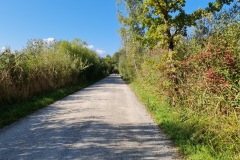 2021-09-18-Gravelbike-Tour-Muenchen-Chiemsee-058