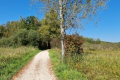 2021-09-18-Gravelbike-Tour-Muenchen-Chiemsee-079