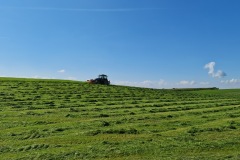 2021-09-18-Gravelbike-Tour-Muenchen-Chiemsee-084