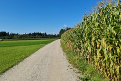 2021-09-18-Gravelbike-Tour-Muenchen-Chiemsee-086