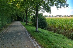2021-09-18-Gravelbike-Tour-Muenchen-Chiemsee-100