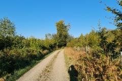 2021-09-25-Gravelbike-Tour-Landsberg-29