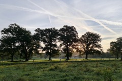 2021-10-02-Gravelbiketour-Andechs-18