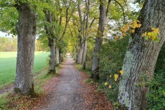 2021-10-02-Gravelbiketour-Andechs-28