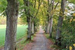 2021-10-02-Gravelbiketour-Andechs-29