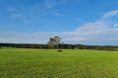 2021-10-02-Gravelbiketour-Andechs-39