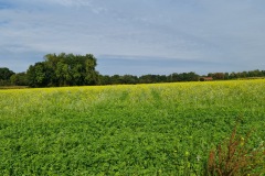 2021-10-02-Gravelbiketour-Andechs-57