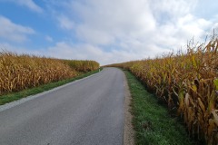 2021-10-09-Gravelbiketour-Nordosten-Muenchen-39