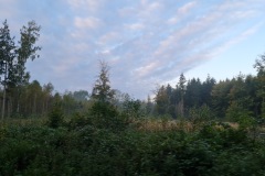 2021-10-16-Gravelbike-Tour-Andechs-05