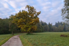 2021-10-16-Gravelbike-Tour-Andechs-11