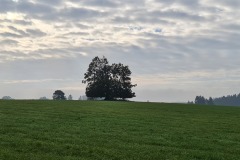 2021-10-16-Gravelbike-Tour-Andechs-36