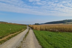 2021-10-16-Gravelbike-Tour-Andechs-39