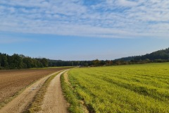 2021-10-16-Gravelbike-Tour-Andechs-41