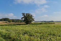 2021-10-16-Gravelbike-Tour-Andechs-45