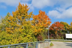 2021-10-16-Gravelbike-Tour-Andechs-59