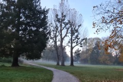 2021-10-31-Gravelbike-Tour-Kloster-Beuerburg-03