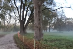 2021-10-31-Gravelbike-Tour-Kloster-Beuerburg-04