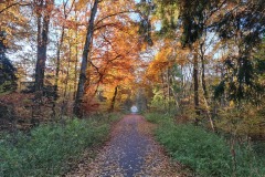 2021-10-31-Gravelbike-Tour-Kloster-Beuerburg-14