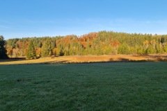 2021-10-31-Gravelbike-Tour-Kloster-Beuerburg-23