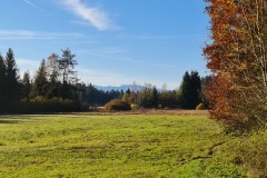 2021-10-31-Gravelbike-Tour-Kloster-Beuerburg-29