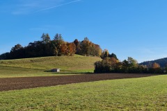 2021-10-31-Gravelbike-Tour-Kloster-Beuerburg-33