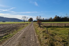 2021-10-31-Gravelbike-Tour-Kloster-Beuerburg-34