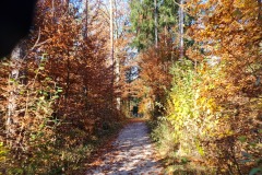 2021-10-31-Gravelbike-Tour-Kloster-Beuerburg-36