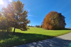 2021-10-31-Gravelbike-Tour-Kloster-Beuerburg-55