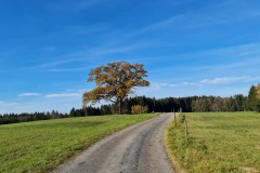 2021-10-31-Gravelbike-Tour-Kloster-Beuerburg-57