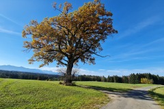 2021-10-31-Gravelbike-Tour-Kloster-Beuerburg-60