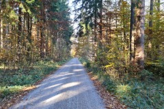 2021-10-31-Gravelbike-Tour-Kloster-Beuerburg-61