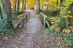 2021-10-31-Gravelbike-Tour-Kloster-Beuerburg-62