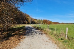 2021-10-31-Gravelbike-Tour-Kloster-Beuerburg-68