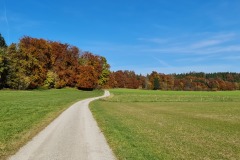 2021-10-31-Gravelbike-Tour-Kloster-Beuerburg-69