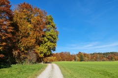 2021-10-31-Gravelbike-Tour-Kloster-Beuerburg-70