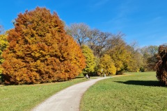 2021-10-31-Gravelbike-Tour-Kloster-Beuerburg-75