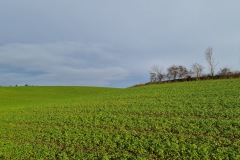 2021-12-05-Gravelbike-Tour-Muenchen-Nord-11