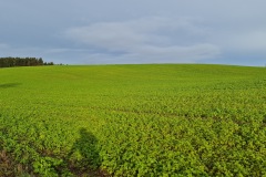 2021-12-05-Gravelbike-Tour-Muenchen-Nord-12