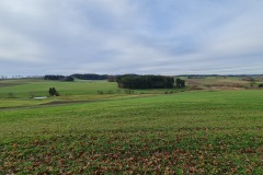 2021-12-05-Gravelbike-Tour-Muenchen-Nord-20