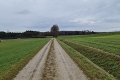 2021-12-05-Gravelbike-Tour-Muenchen-Nord-21