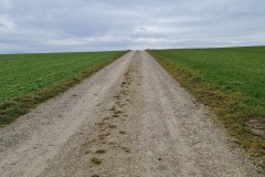 2021-12-05-Gravelbike-Tour-Muenchen-Nord-22
