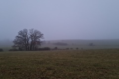2021-12-18-Gravelbike-Tour-Hohen-Peissenberg-06