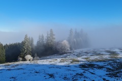 2021-12-18-Gravelbike-Tour-Hohen-Peissenberg-28