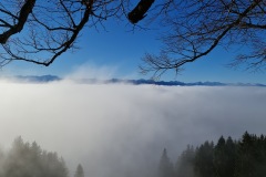 2021-12-18-Gravelbike-Tour-Hohen-Peissenberg-29