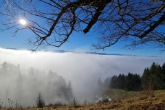 2021-12-18-Gravelbike-Tour-Hohen-Peissenberg-31