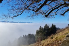 2021-12-18-Gravelbike-Tour-Hohen-Peissenberg-34