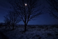 2021-12-25-Wanderung-Magdeburg-03