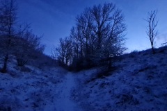 2021-12-25-Wanderung-Magdeburg-06